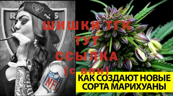 стаф Лагань