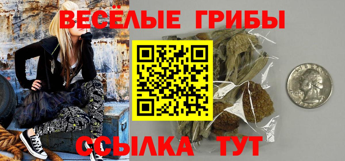 даркнет сайт  Галлюциногенные грибы прущие грибы  Вход с VPN  Обнинск 