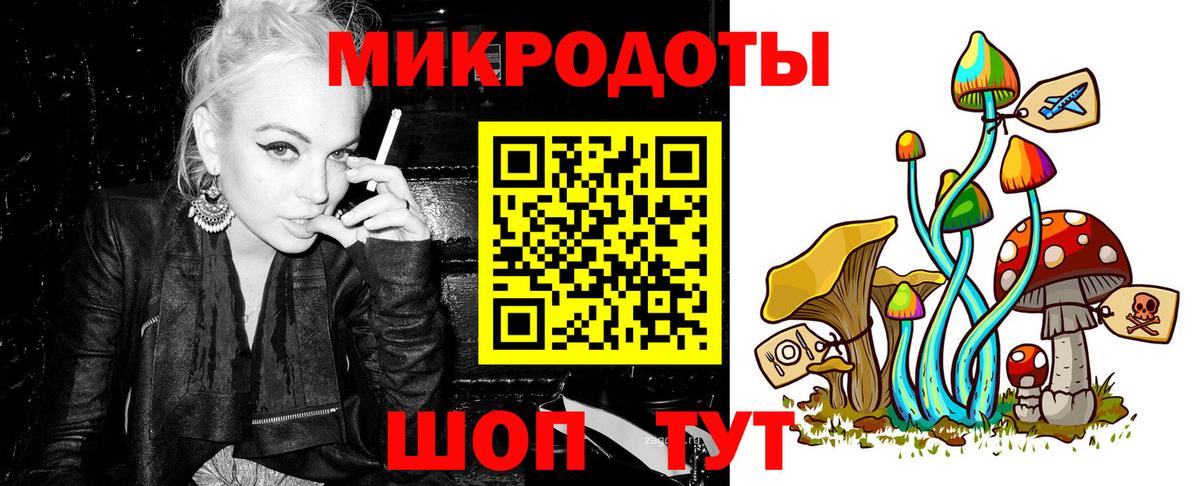 Псилоцибиновые грибы Psilocybe Обнинск