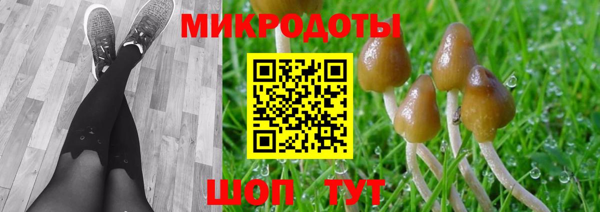 Псилоцибиновые грибы Cubensis  Псилоцибиновые грибы Cubensis  Обнинск  Вход с VPN 