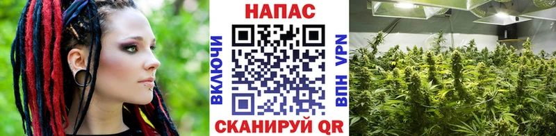 купить наркоту  Обнинск  МАРИХУАНА AK-47 